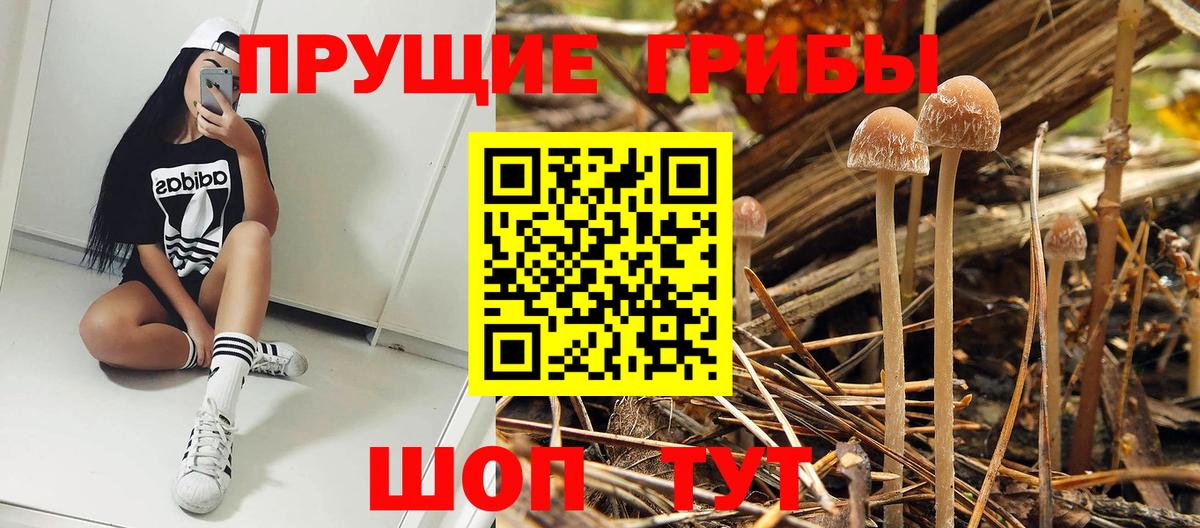 Галлюциногенные грибы мухоморы Белово