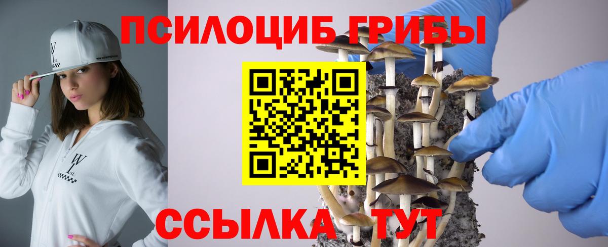 Белово  Псилоцибиновые грибы GOLDEN TEACHER  Галлюциногенные грибы Magic Shrooms  Вход с VPN 